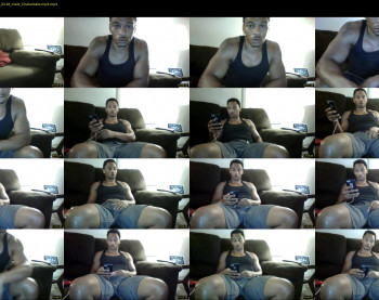 sharkdickwilly