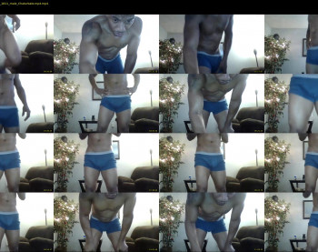 sharkdickwilly