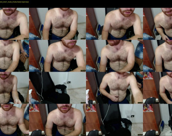 michawhiteboxer