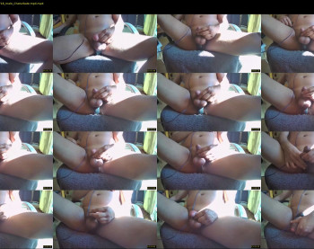myster_fox