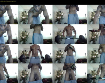 sharkdickwilly