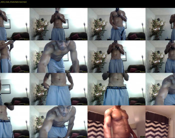 sharkdickwilly