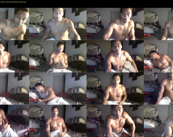 sharkdickwilly