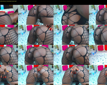 ebonyasstits