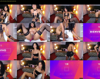 harley_falconi