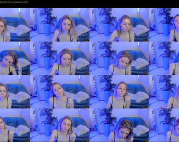 steicydream