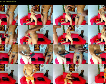 stivendreams