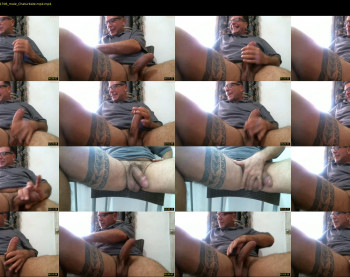 troya777511