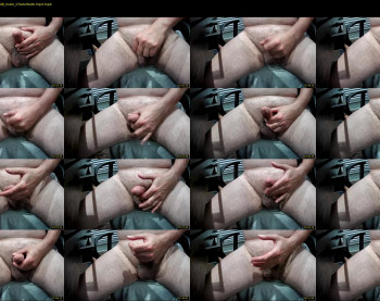 taylorsguy