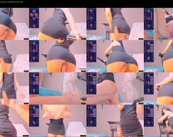 mei_lee