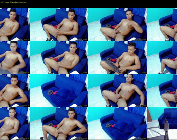 tom_of_filand