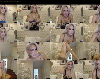 domino_dont_cry_please