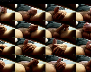 thisjohnsonbangedursister100x