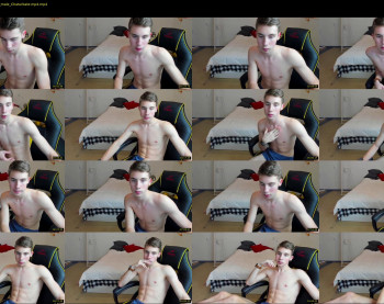 dick_fly