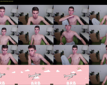 dick_fly