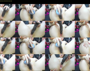 _daiisy_