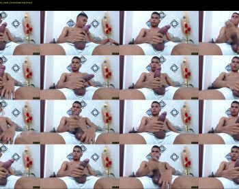 pigo23cm