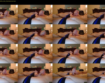 sillywilly6942
