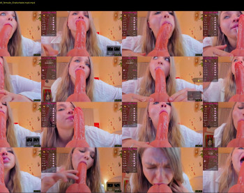 violla_sinz