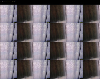 roxy_bunny1