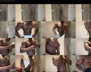 blackgeminidude