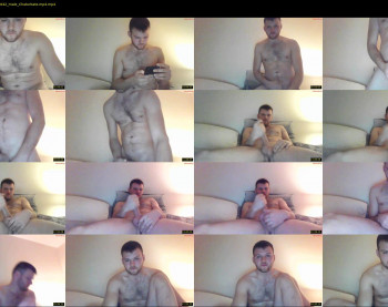 irish_stud44