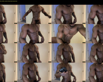 blackgeminidude