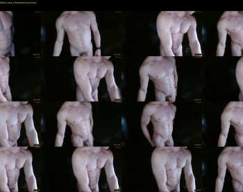 gamerdick29