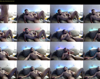 brindlefly69