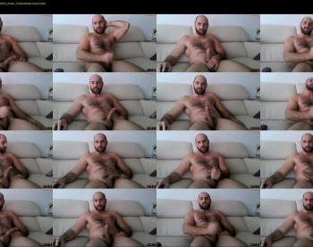 wolfdudefun