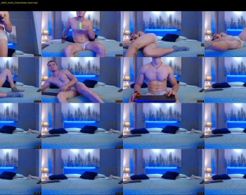 dominikfalcon