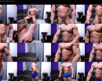 bestmuscle
