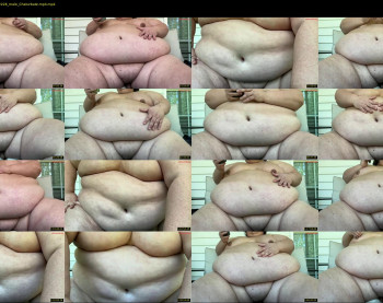 cheneychub