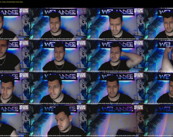 welansee