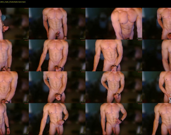 gamerdick29