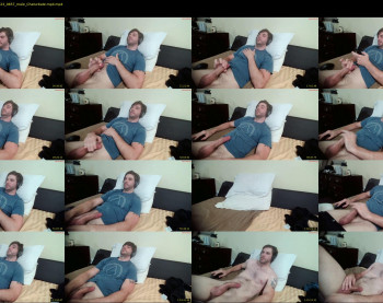 vanillagorilla365