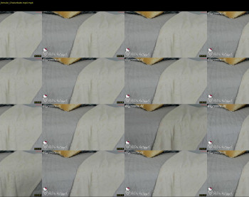 dakitty_