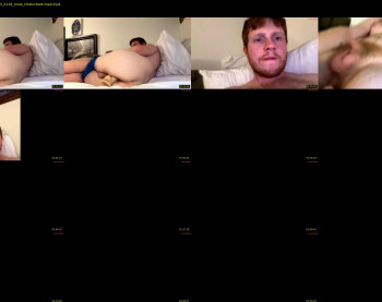 thatdustyginger