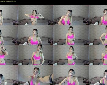 adelie_mur