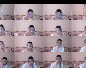 adelie_mur