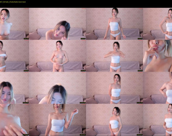 adelie_mur