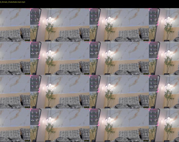 annfoxy1