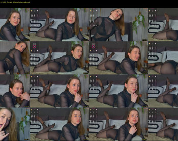 michellehaynes