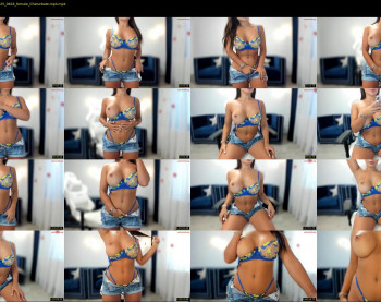 _missperfection_