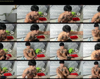fit_prince_