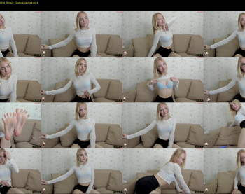 brittany_bird