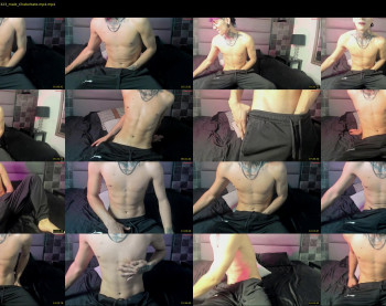 harry_tatto_