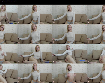 brittany_bird