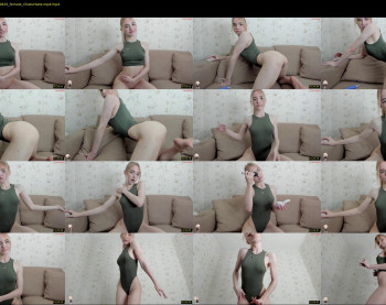 brittany_bird