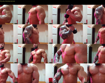 adonis_msc